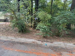 8013 Brandon Street photo