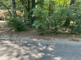 8013 Brandon Street photo
