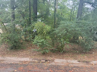 8013 Brandon Street photo